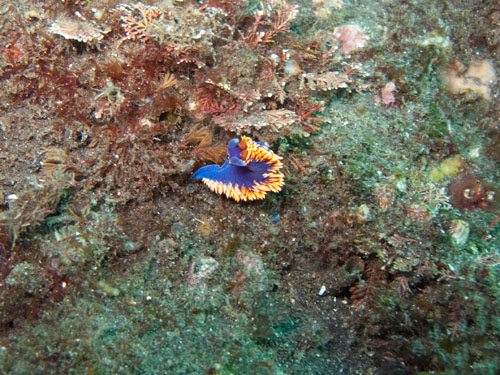135 IMG_0744-2