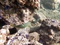 042 IMG_0671-2