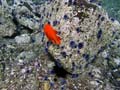 065 IMG_1048-1