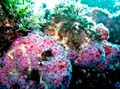 078 IMG_0699-2