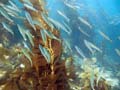 087 IMG_0966-1