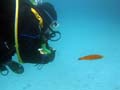 008 IMG_0017s 3-09