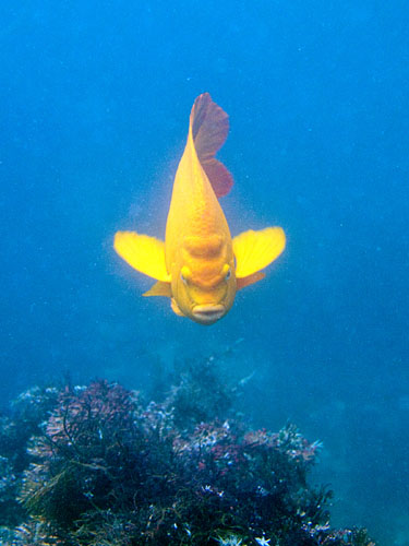 017 P7020396-1