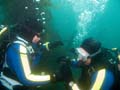 008 IMG_0990-1