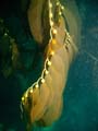 014 IMG_0997-1