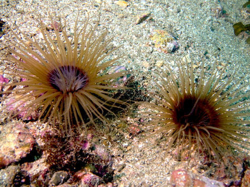 002 P7160409-2