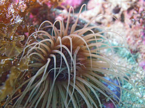 004 P7160411-2