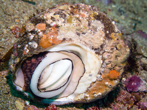 006 P7160417-2