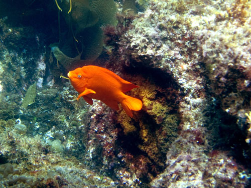 032 P7160463-2a