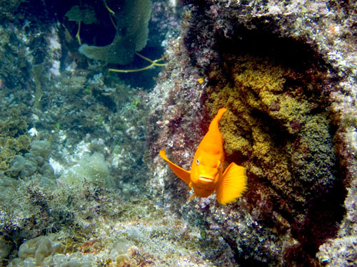 033 P7160464-2a