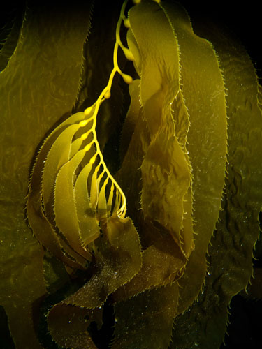 042 P7160475-2