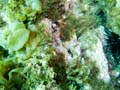 024 IMG_1042-1
