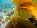 026 IMG_1045-1
