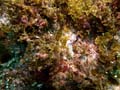 028 IMG_1049-1
