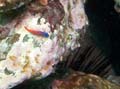 040 IMG_1057-1a