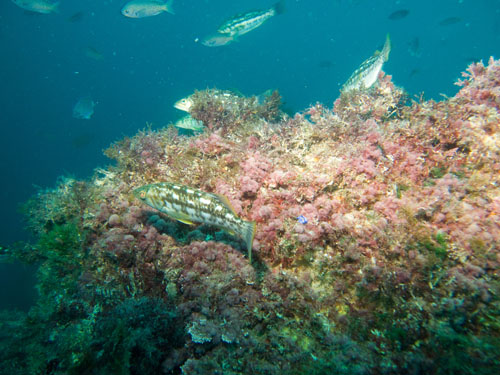 012 P7300513-2