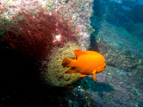 015 P7300517-2