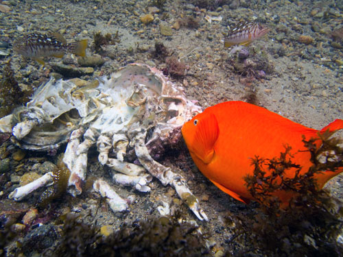 037 P7300538-2