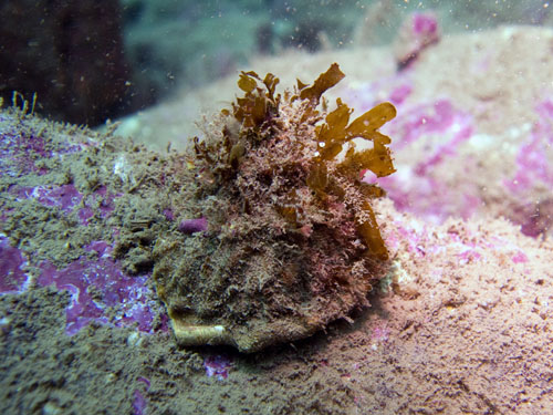 046 P7300550-2