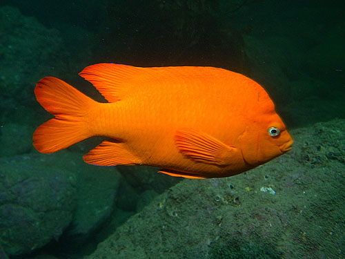050 P7300553-2