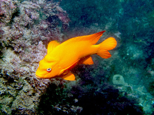 054 P7300557-2