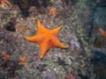 003 IMG_1070-1