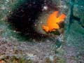 018 IMG_1087-1