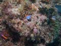 021 IMG_1081-1