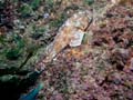022 IMG_1083-1