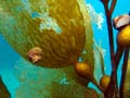 025 IMG_1093-1a