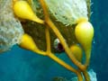 034 IMG_1103-1a