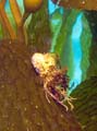 035 IMG_1112-1a