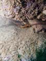047 IMG_1114-1