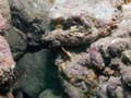 048 IMG_1115-1