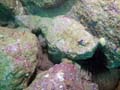 060 IMG_1126-1