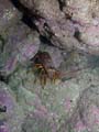 064 IMG_1128-1