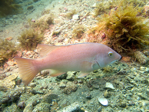 002 P8140597-1