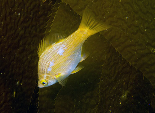 004 P8140603-1