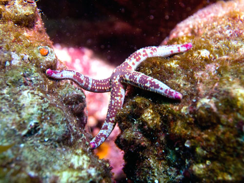 013 P8140627-1