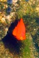 068 IMG_1186c
