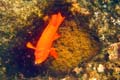069 IMG_1187c