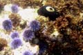 079 IMG_1202c