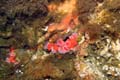 084 IMG_1210c