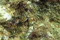 087 IMG_1213c