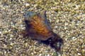026 IMG_1155c