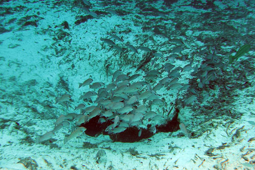 014 P3040032c