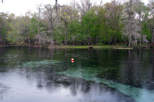 026 IMG_0887c