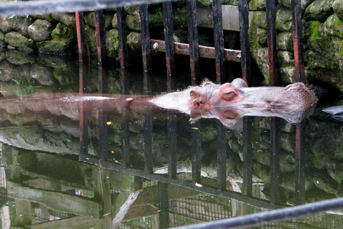 028 IMG_0909c