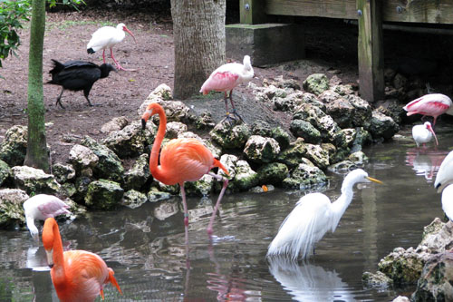030 IMG_0921c