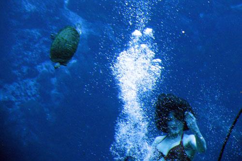 039 IMG_0950c